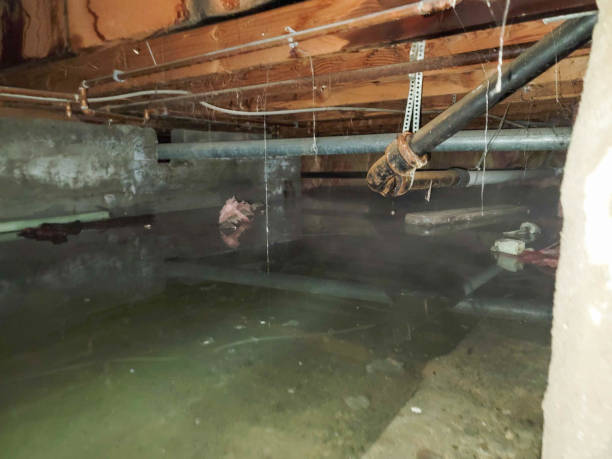 Best Water damage restoration company  in Fernandina Beach, FL