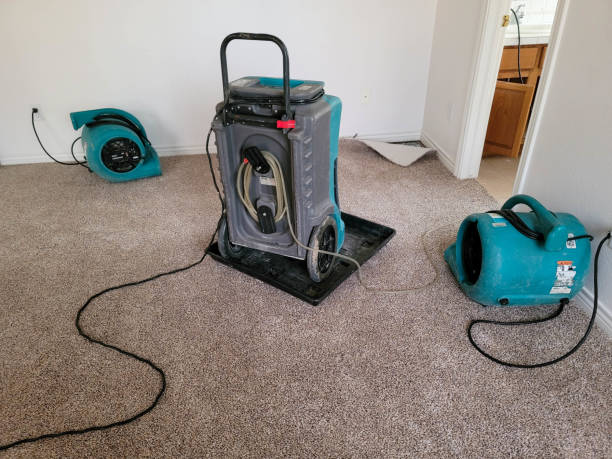 Best Water damage contractors near me  in Fernandina Beach, FL