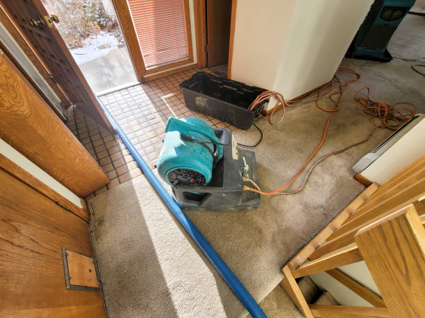 Reliable Fernandina Beach, FL Water damage restoration Solutions