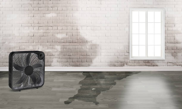 Best Emergency water damage restoration  in Fernandina Beach, FL