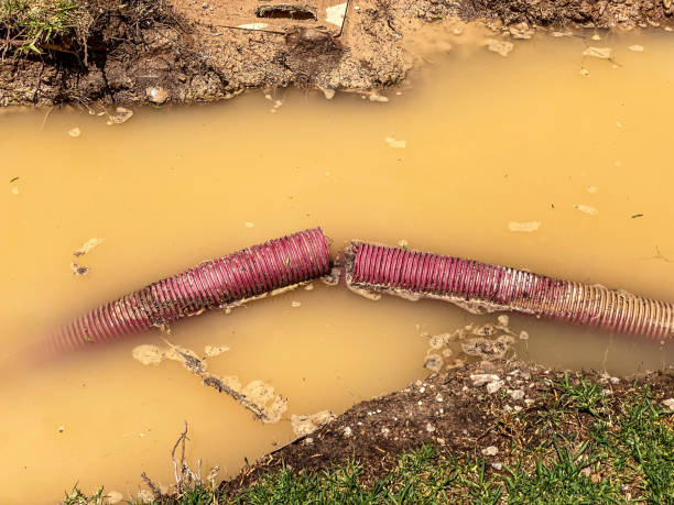 Best Local water damage restoration  in Fernandina Beach, FL