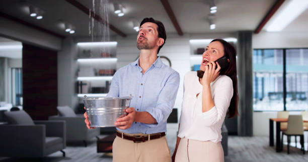 Best Water damage restoration near me  in Fernandina Beach, FL
