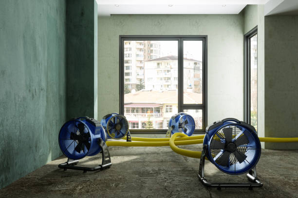 Best Commercial water damage restoration  in Fernandina Beach, FL