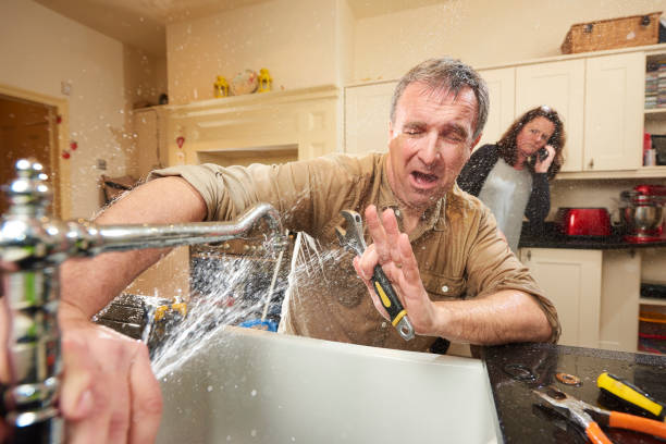 Best Flood damage cleanup  in Fernandina Beach, FL